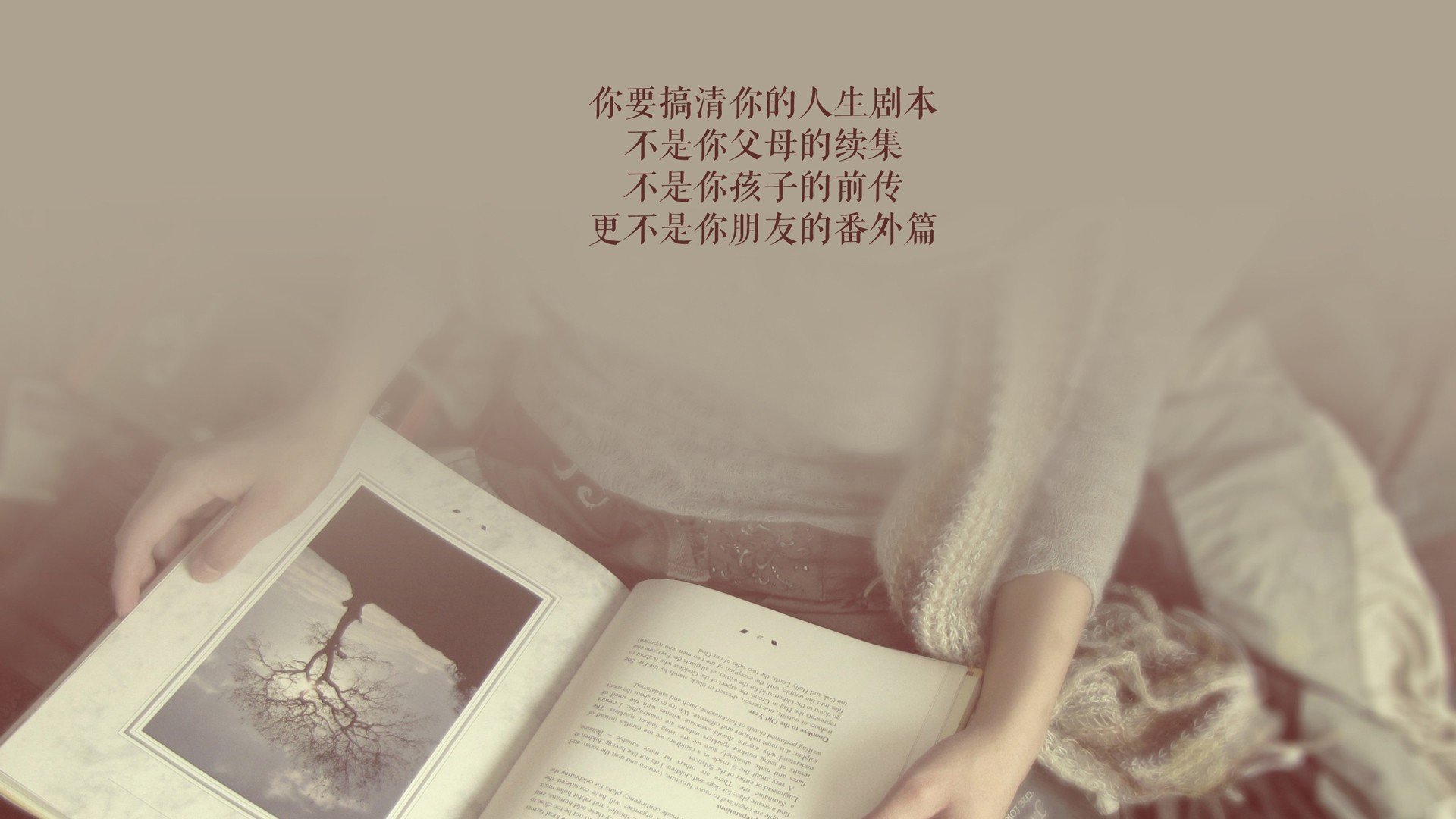 世界乒坛青年赛国际裁判交流回顾发布，世界乒坛重大赛事